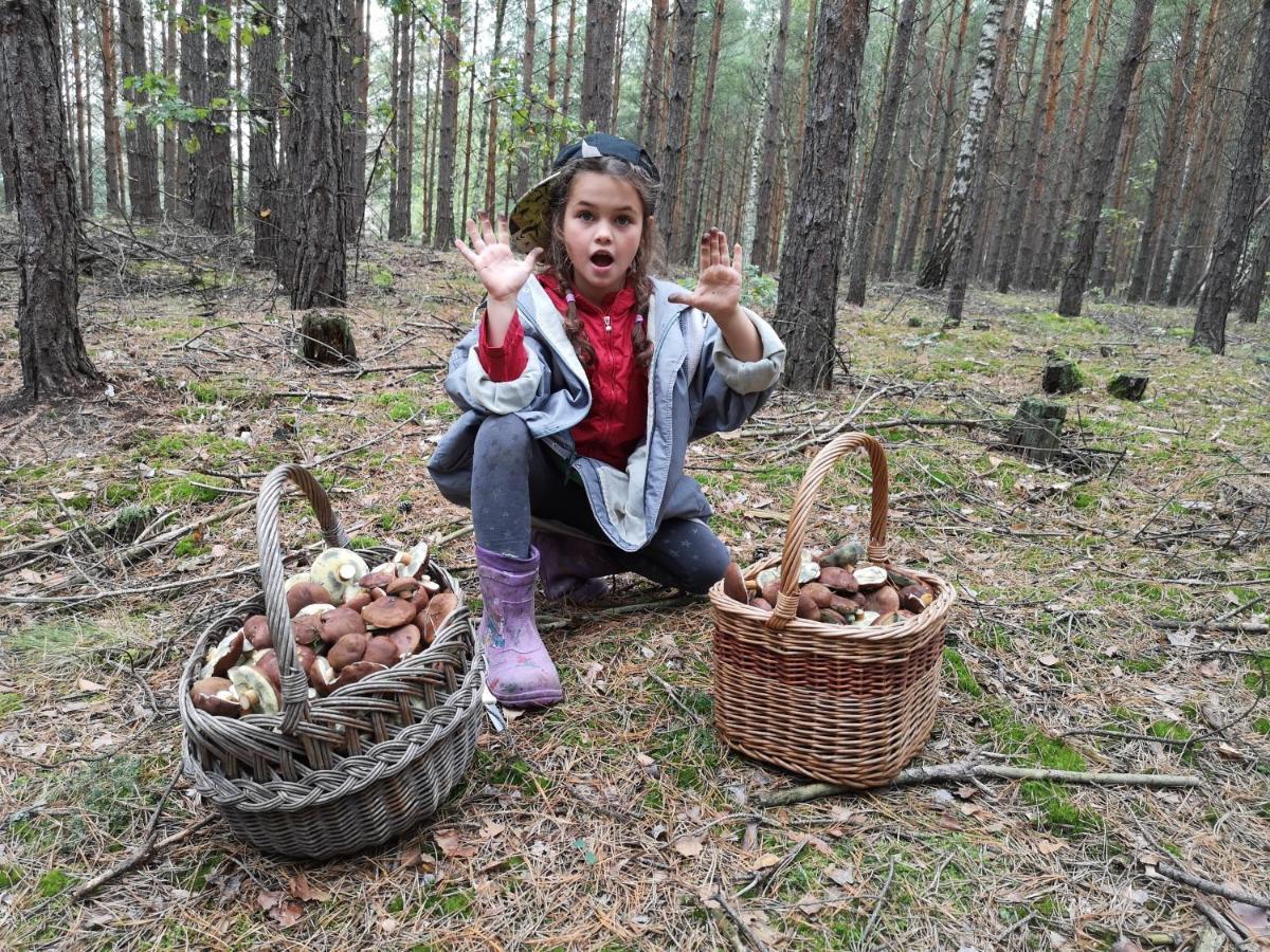 Agroturystyka Plener Miedzichowo Esterno foto