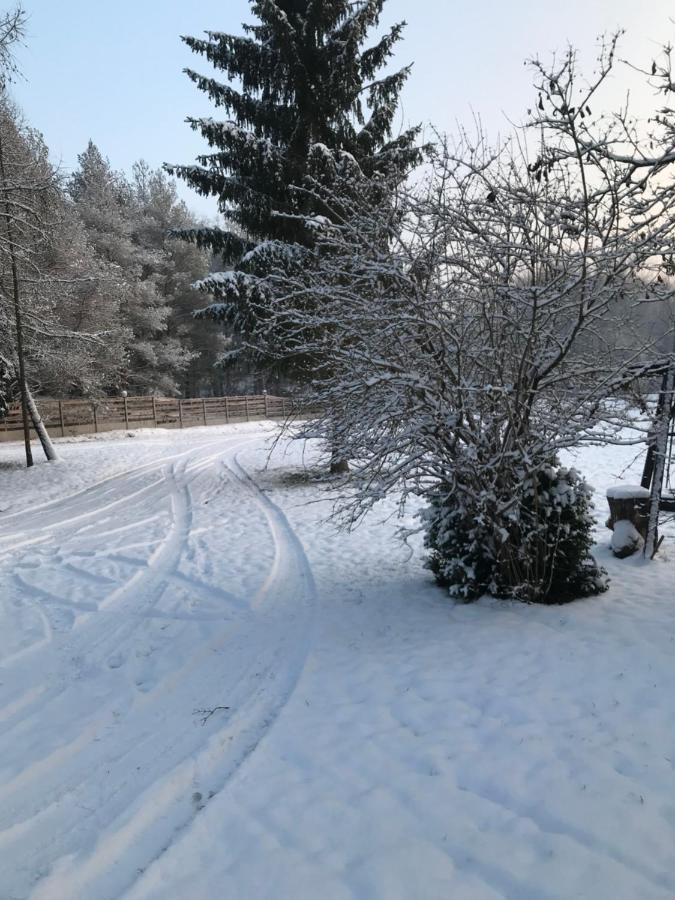 Agroturystyka Plener Miedzichowo Esterno foto